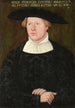 Portrait Painting of Wolff Fuerleger - Hans Brosamer — artwork view