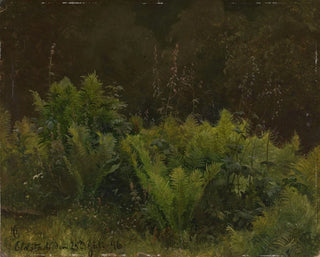 Estudio de helechos - Hans Gude — vista de la obra