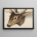 Head of a Deer - Hans Hug Kluber — framed artwork on a wall