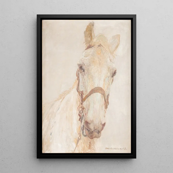 Caballo blanco - Hans Kohlschein — cuadro enmarcado en la pared
