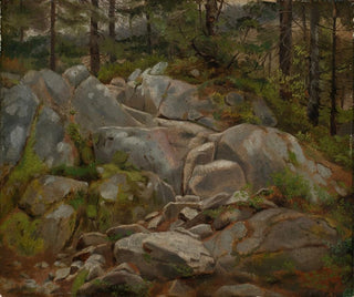 Hans Thoma - Felsblcke mit Tannenstmmen.webp