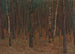 Interior de bosque - Hans Tichy — vista de la obra