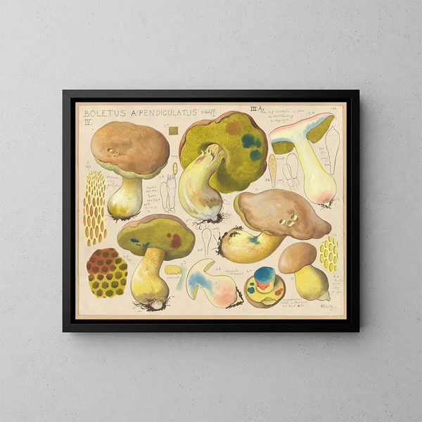 Boletus appendiculatus - Hans Baldung — cuadro enmarcado en la pared