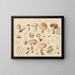 Boletus bresadolae - Hans Baldung — cuadro enmarcado en la pared