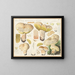 Boletus réticulé - Hans Baldung — cuadro enmarcado en la pared