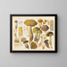 Bolet rimosus Venturi nigrescens R y R - Hans Baldung — cuadro enmarcado en la pared