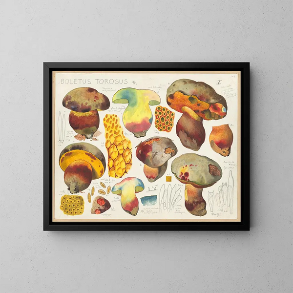 Boletus torosus - Hans Baldung — cuadro enmarcado en la pared