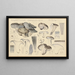 Hygrophorus marzuolus Fr - Hans Baldung — cuadro enmarcado en la pared