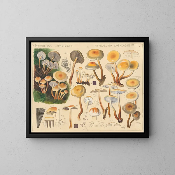 Hypholoma capnoides - Hans Baldung — cuadro enmarcado en la pared