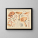 Lactaire torminosus - Hans Baldung — framed artwork on a wall