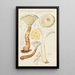 Lentinus suffrutescens - Hans Baldung — cuadro enmarcado en la pared