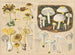 Limacium hypothejum Limacium chrysodon - Hans Baldung — artwork view