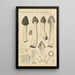 Morchella rimosipes - Hans Baldung — cuadro enmarcado en la pared