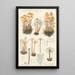 Mycena prolifera - Hans Baldung — framed artwork on a wall