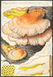 Polyporus sulfureus Bull Fr - Hans Baldung — vista de la obra