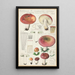 Russula seperina - Hans Baldung — cuadro enmarcado en la pared