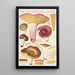 Russula alutacea Persoon - Hans Baldung — cuadro enmarcado en la pared