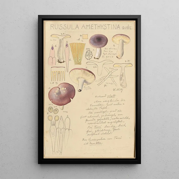 Russula amethystina - Hans Baldung — cuadro enmarcado en la pared