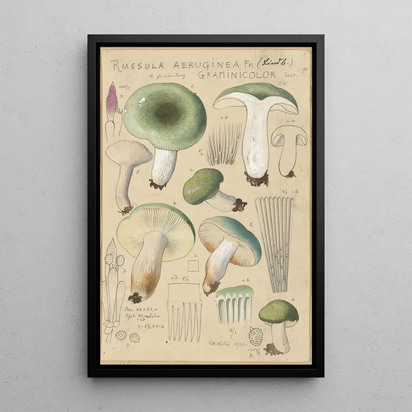 Russula aureginea - Hans Baldung — cuadro enmarcado en la pared