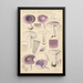 Russula azurea - Hans Baldung — cuadro enmarcado en la pared