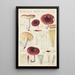 Russula badia - Hans Baldung — cuadro enmarcado en la pared
