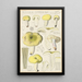 Russula citrina - Hans Baldung — cuadro enmarcado en la pared