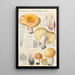 Russula constans - Hans Baldung — cuadro enmarcado en la pared