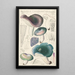 Russula cyanoxantha Schaeffer - Hans Baldung — framed artwork on a wall