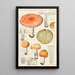 Russula decolorans - Hans Baldung — cuadro enmarcado en la pared