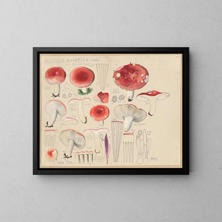 Russula emetica painting - Hans Baldung — framed artwork on a wall