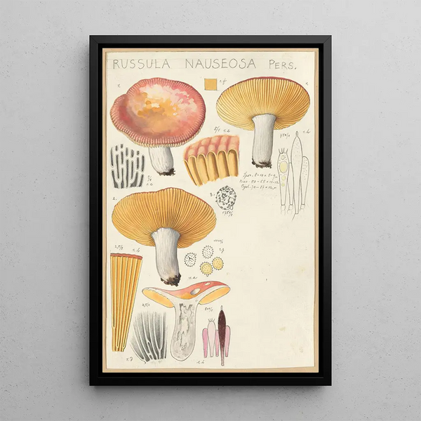Russula nauseosa - Hans Baldung — cuadro enmarcado en la pared