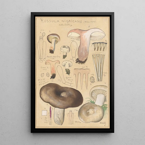 Russula nigricans - Hans Baldung — cuadro enmarcado en la pared