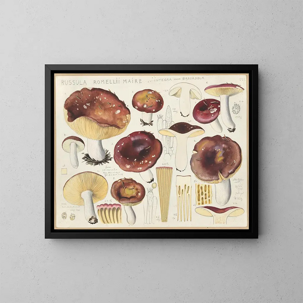 Russula romellii - Hans Baldung — cuadro enmarcado en la pared