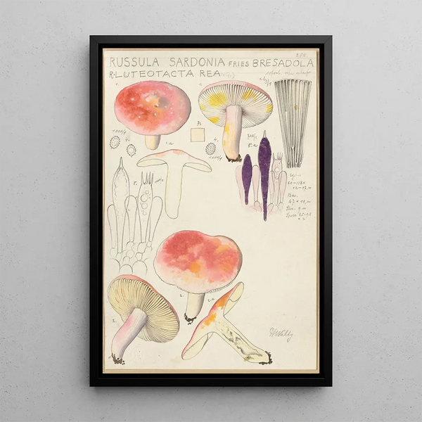 Russula sardonia - Hans Baldung — cuadro enmarcado en la pared