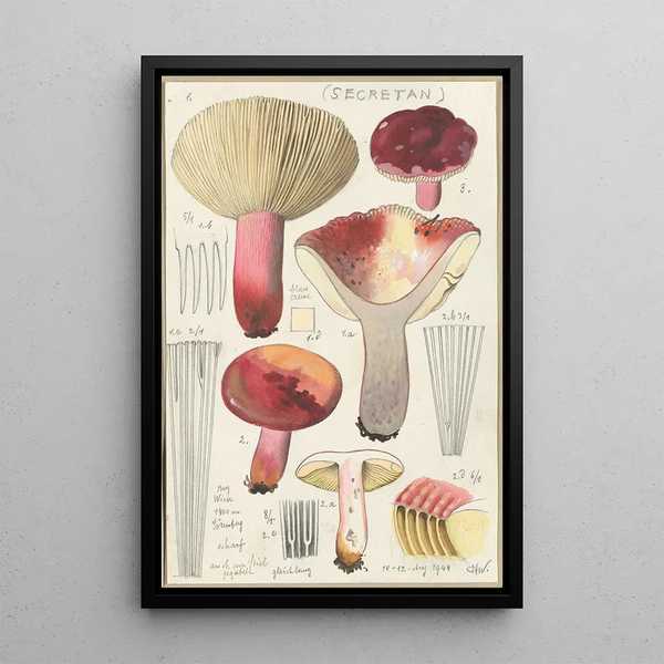 Russula secretan - Hans Baldung — cuadro enmarcado en la pared
