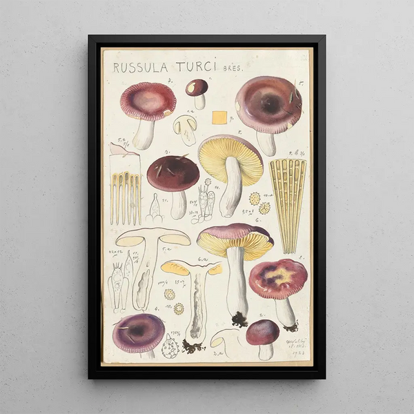 Russula turci - Hans Baldung — cuadro enmarcado en la pared