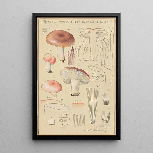 Russula vesca subsp Depallens singer - Hans Baldung — cuadro enmarcado en la pared