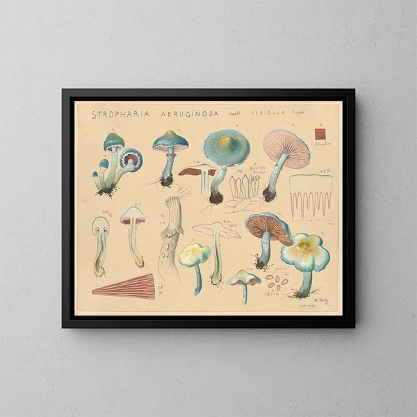 Stropharia aeruginosa var. viridula - Hans Baldung — cuadro enmarcado en la pared