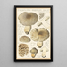 Tricholoma pardinum quelet - Hans Baldung — cuadro enmarcado en la pared