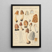 Verpa digitaliformis - Hans Baldung — cuadro enmarcado en la pared