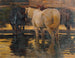 Caballos en el charco - Hans von Hayek — vista de la obra