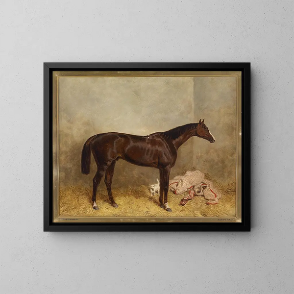 Prince Charlie Painting - Harald R. Hall — framed artwork on a wall