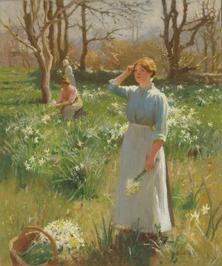 Harold Charles Francis Harvey - Daffodils.webp