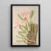 Cattleya Mossiae - Harriet Stewart Miner — cuadro enmarcado en la pared