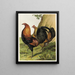 Gibier rouge à poitrine noire - Harrison Weir — framed artwork on a wall