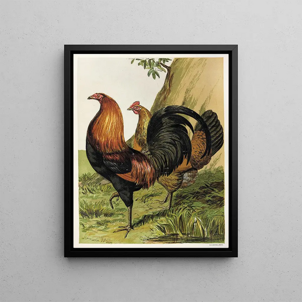 Harrison Weir - BlackBreasted Red Game.webp