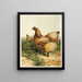 Gallina Cochin chamois - Harrison Weir — cuadro enmarcado en la pared