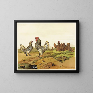 Gold and silver Bantams Painting - Harrison Weir — framed artwork on a wall