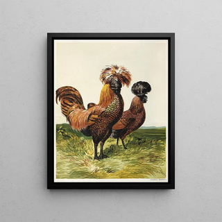 Harrison Weir - GoldenSpangled Polish.webp
