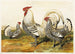 Hambourgs Argentés Tachetés - Harrison Weir — artwork view
